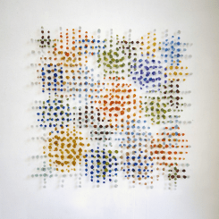 Marian Bijlenga, Multicolour