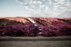 Zakaria Wakrim, Annexes