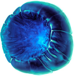 Wolfgang Ganter, Untitled (Gravity Attraction)