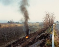 Guido Guidi, 238 E45 S. Vittore 1988