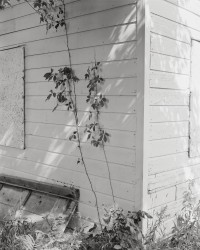 jenia Fridlyand, EtOV 6