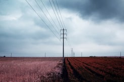 Zakaria Wakrim, Annexes (5)