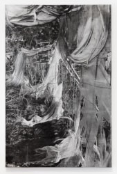 Marie Cloquet, Remnants V