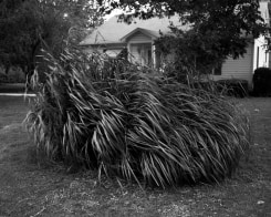 tim Carpenter, Untitled, 2018