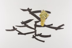 Carel Visser, Untitled