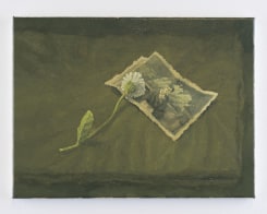 Felix De Clercq, Yearning