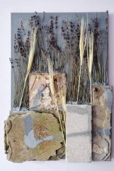 Liviu Bulea, Nature vs Us #2