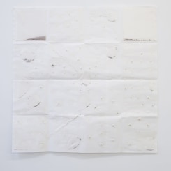 Audrey Cottin, Seeds Arrangement #0001