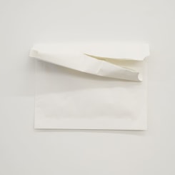 Audrey Cottin, From Memory; One Corn Bag Seeds (#0001)