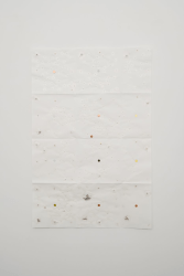 Audrey Cottin, Seeds Arrangement (#0004)