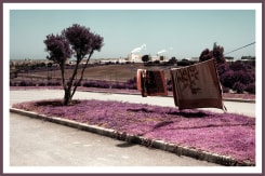 Zakaria Wakrim, Annexes