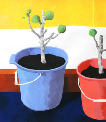 Erik Mattijssen, Emmer 5