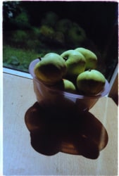 Ksenia Galiaeva, no title