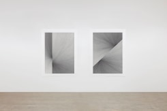 Alexandra Roozen, Plain Dust