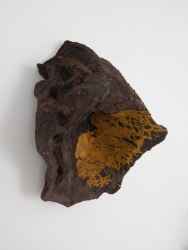 Maartje Korstanje, Untitled