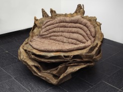 Maartje Korstanje, Untitled