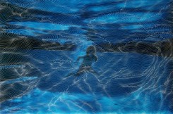 Sebastiaan Bremer, I've been holding my breath for a long time now #1