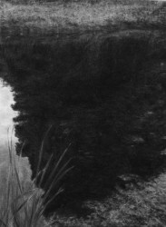 Renie Spoelstra, Reflected (Chestnut Tree)