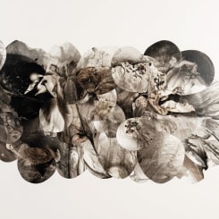 Alisa Lim A Po, Monochromen, White – L1