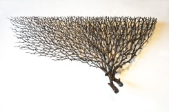 Henny van der Meer, Untitled