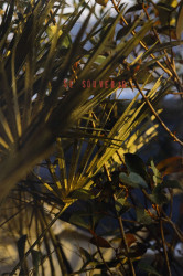 Victoire Eouzan, Se souvenir