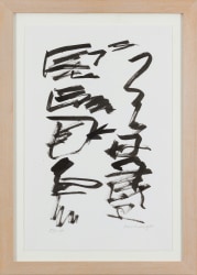 Jan Schoonhoven, T 85-35