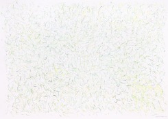 herman de vries, untitled (18.3.18-19.3.18)