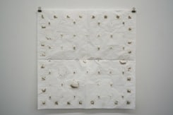 Audrey Cottin, Seeds Arrangement (#0006)