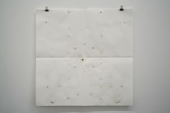 Audrey Cottin, Seeds Arrangement (#0008)
