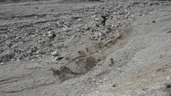 Thomas Meijerman, Human-Landscape Interaction (video)