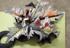 Caroline Coolen, Chardon