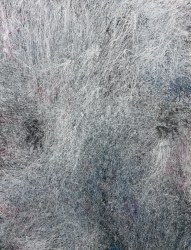 Reinoud van Vught, Z.T.