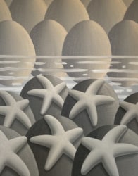 Laurens Legiers, Sea stars in the morning