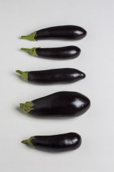 Uta Eisenreich, 76. Typology of eggplants