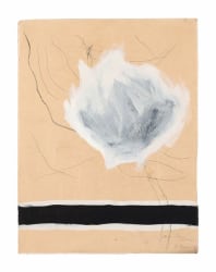 Roger Raveel, Composition