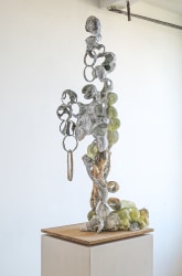 Katrien Vogel, Van een verre wereld