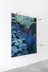 Sanell Aggenbach, Neo Naturae