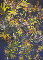 Nicholas William Johnson, Epiphyte Canopy Community