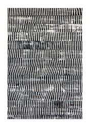 Wouter Eelkman Rooda, Black & White #2