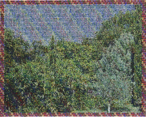 Rik Vermeersch, Tuin in Le Truxet