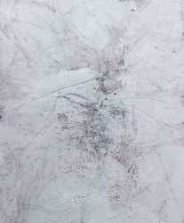 Ivan Grubanov, moke Nation Screen: Plvs Vltra