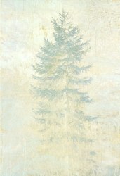 Sandra Kruisbrink, Lariks Alvik II