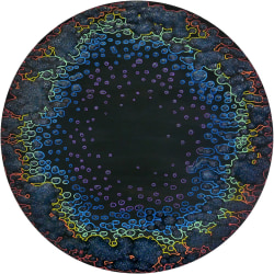 Annemarie Slobbe, Untitled (2003)