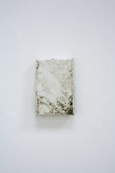 Karin Sander, Gebrauchsbild, Unter der Trauerweide