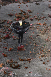 Cornelia Schleime, Blutsteinfängerin