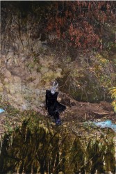 Cornelia Schleime, La Galga