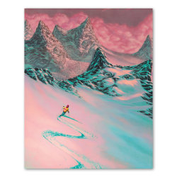 Casey Weldon, Meowtain High