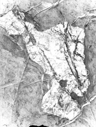 Sybren Vanoverberghe, Display Screen 03