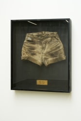 Guillaume Bijl, Souvenir of the 20th Century