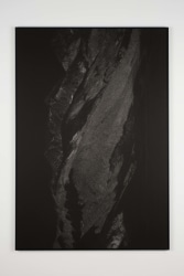 Jana Coorevits, Figura serpentinata #1